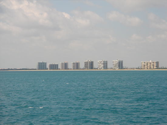 view